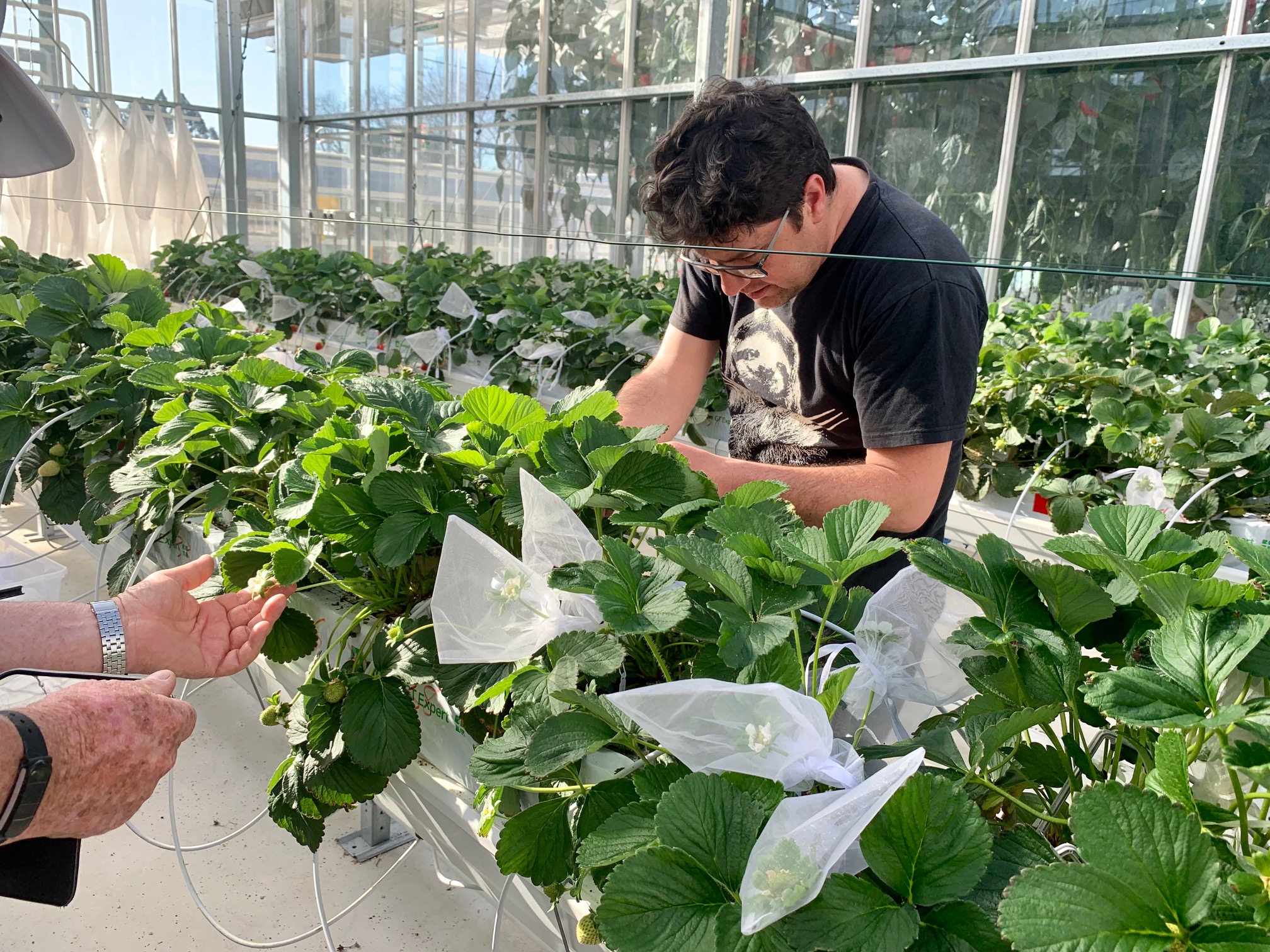The Pollinator Lab – Australian research lab focusing on the ecology ...